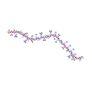 LL-37 Peptide Structure